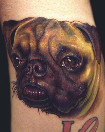 Tattoos - color pug portrait - 32504
